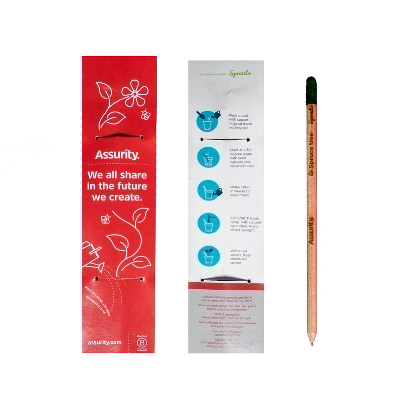 Sprout Pencils